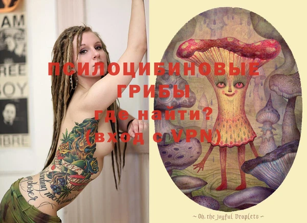 PSILOCYBIN Абаза