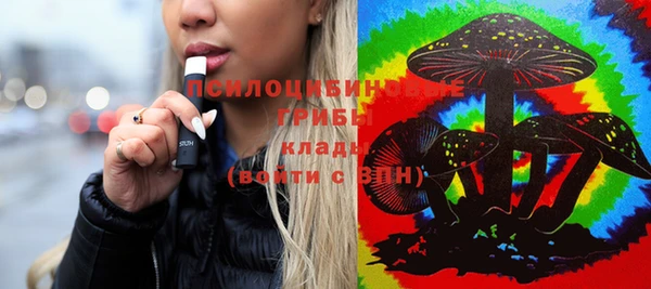 PSILOCYBIN Абаза