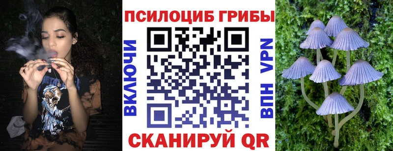 цена   Кандалакша  Галлюциногенные грибы MAGIC MUSHROOMS 