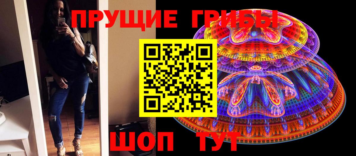 Галлюциногенные грибы Cubensis Кандалакша