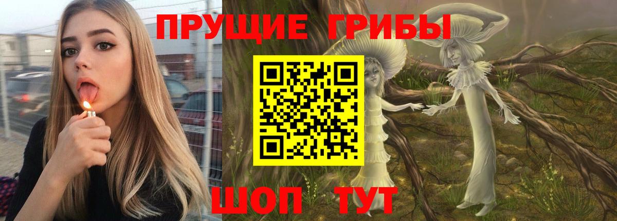 Галлюциногенные грибы прущие грибы  купить наркоту  Кандалакша  Вход с VPN 